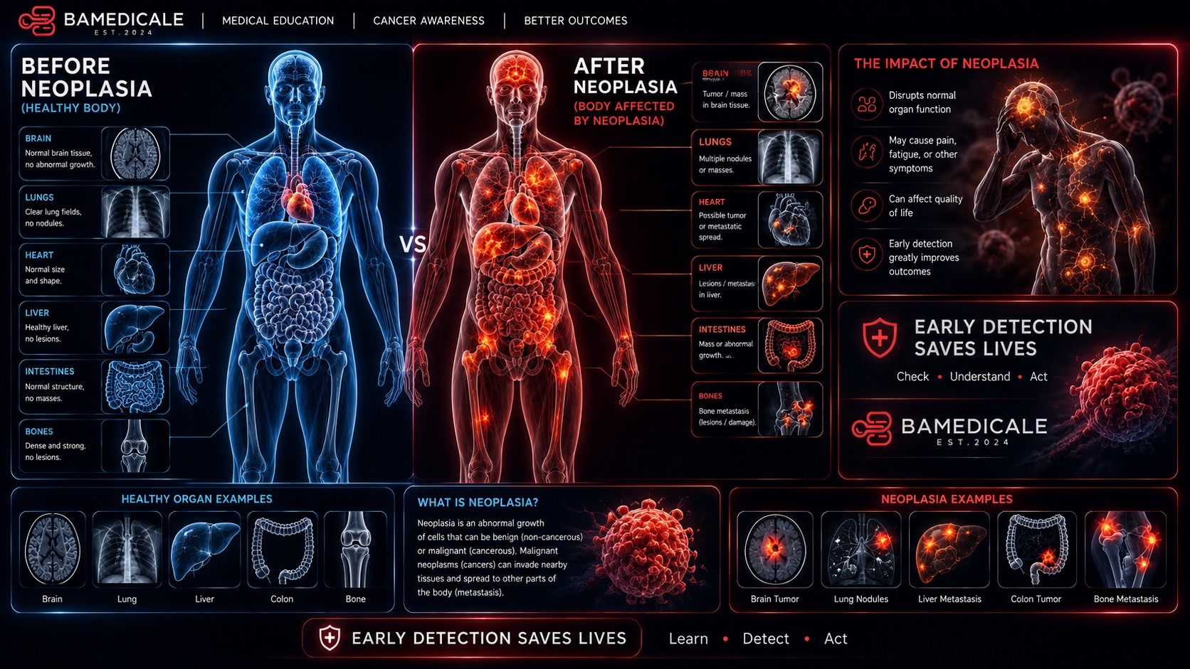 Before and after neoplasia educational infographic