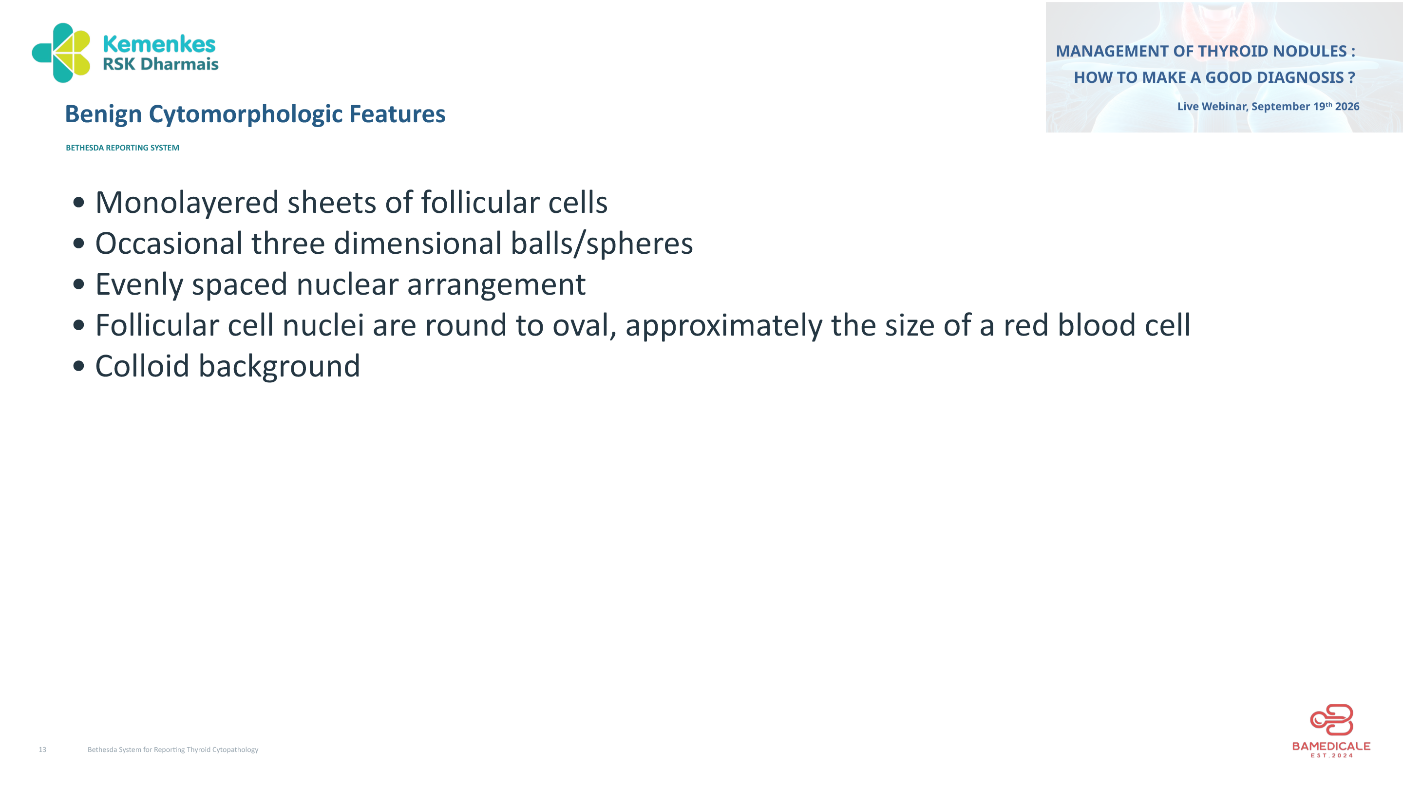 Original presentation slide 13; selectable text follows