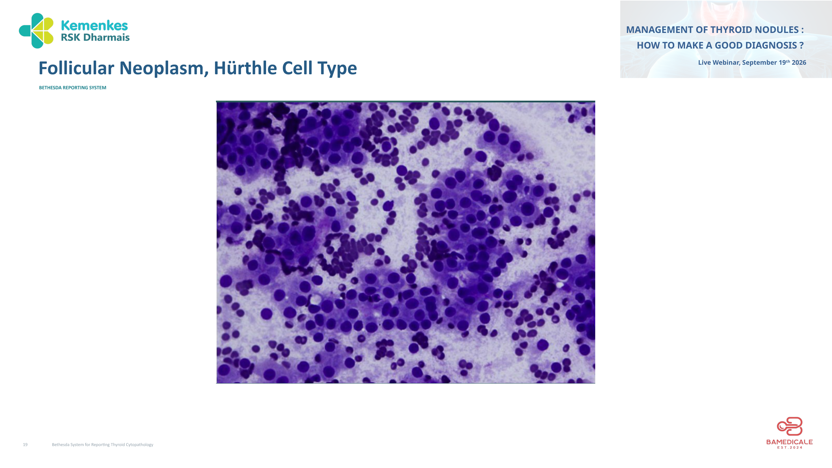 Original presentation slide 19; selectable text follows