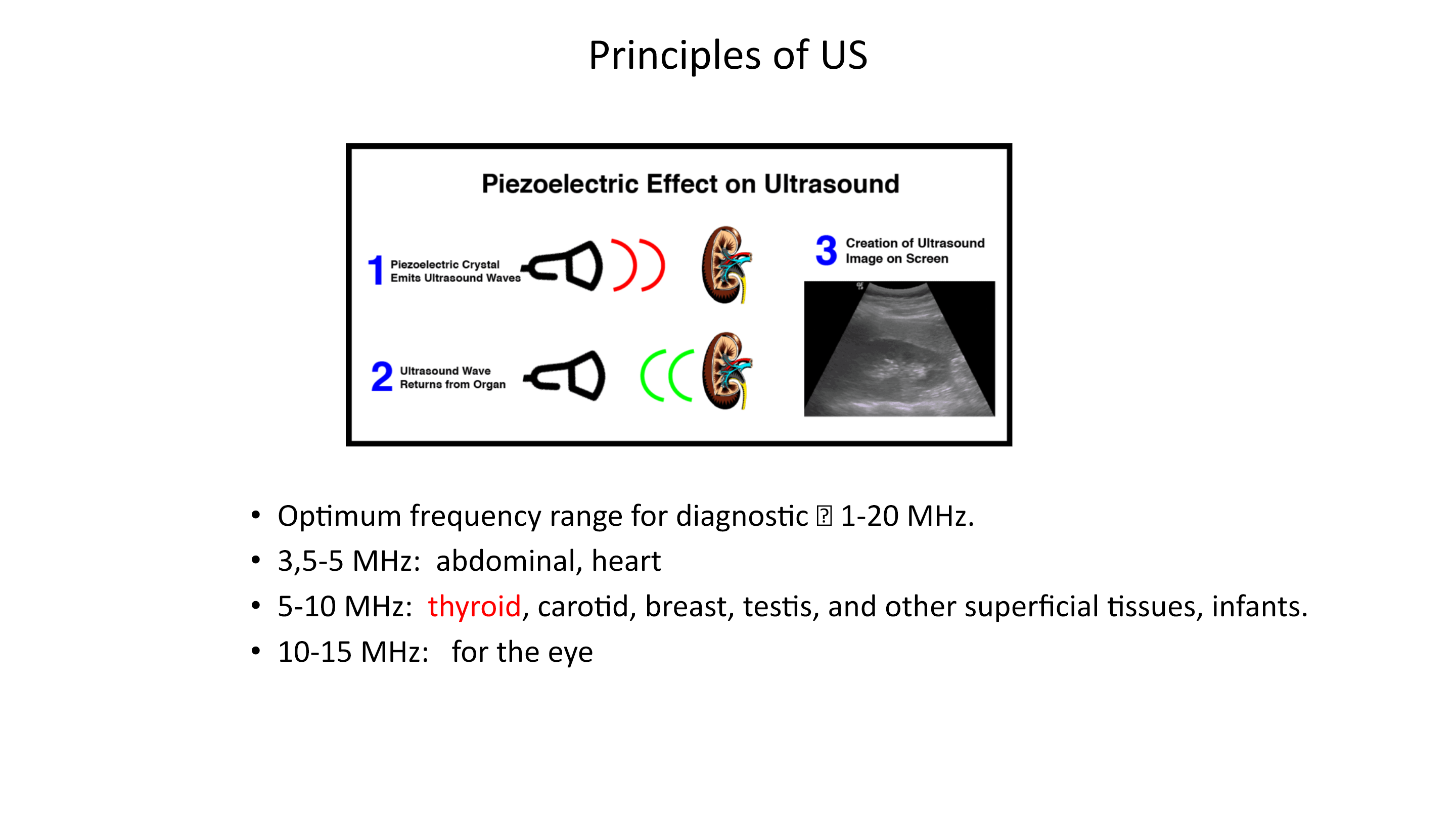 Original presentation slide 5; selectable text follows